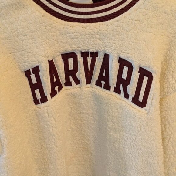 J29 CHAMPION Authentic Wear - Harvard Sherpa Sweater - Picture 3 of 6